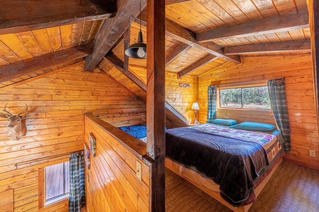 Forest Cabin 1 Hunters Blind Payson Extérieur photo