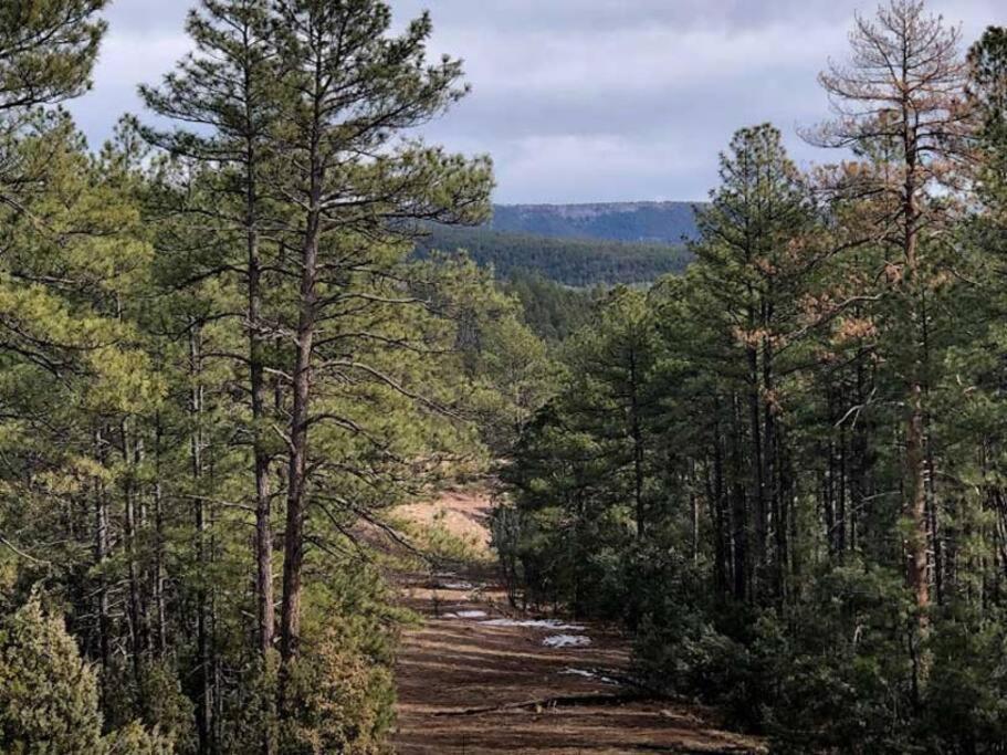 Forest Cabin 1 Hunters Blind Payson Extérieur photo