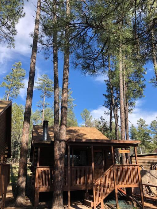 Forest Cabin 1 Hunters Blind Payson Extérieur photo